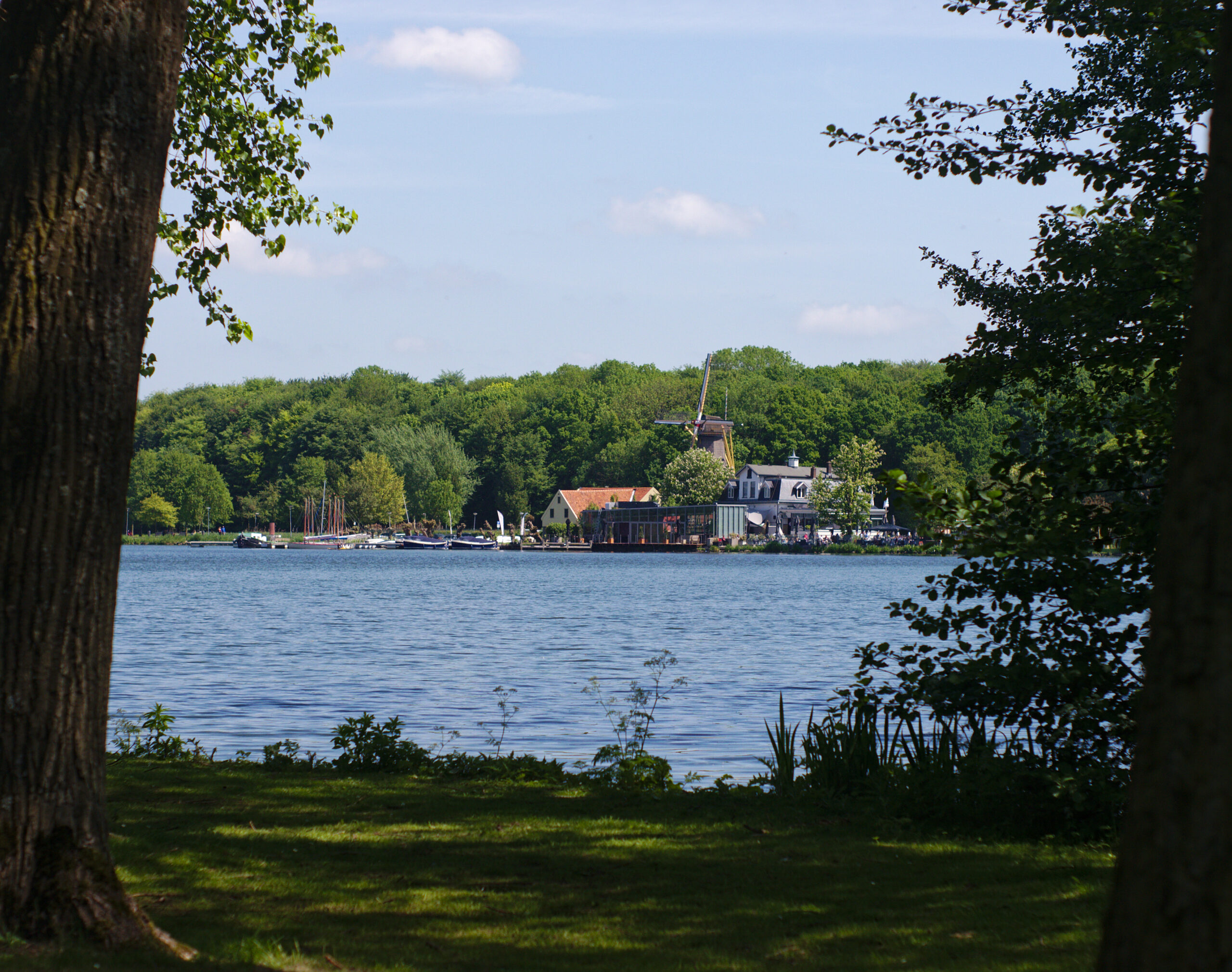 Pro Rege Kralingen | Exclusieve appartementen aan de Oudedijk Kralingse Plas met groen en molen